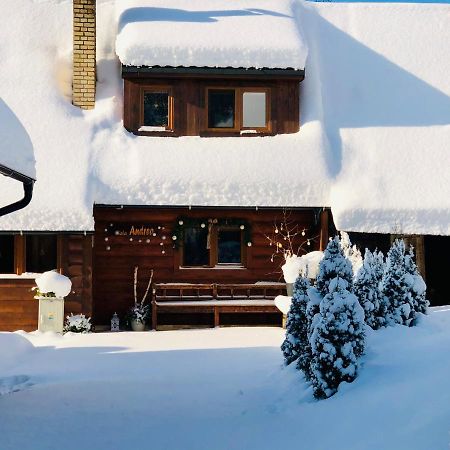 Andrea- Neakceptujeme Mlade Partie Villa Terchova Ngoại thất bức ảnh